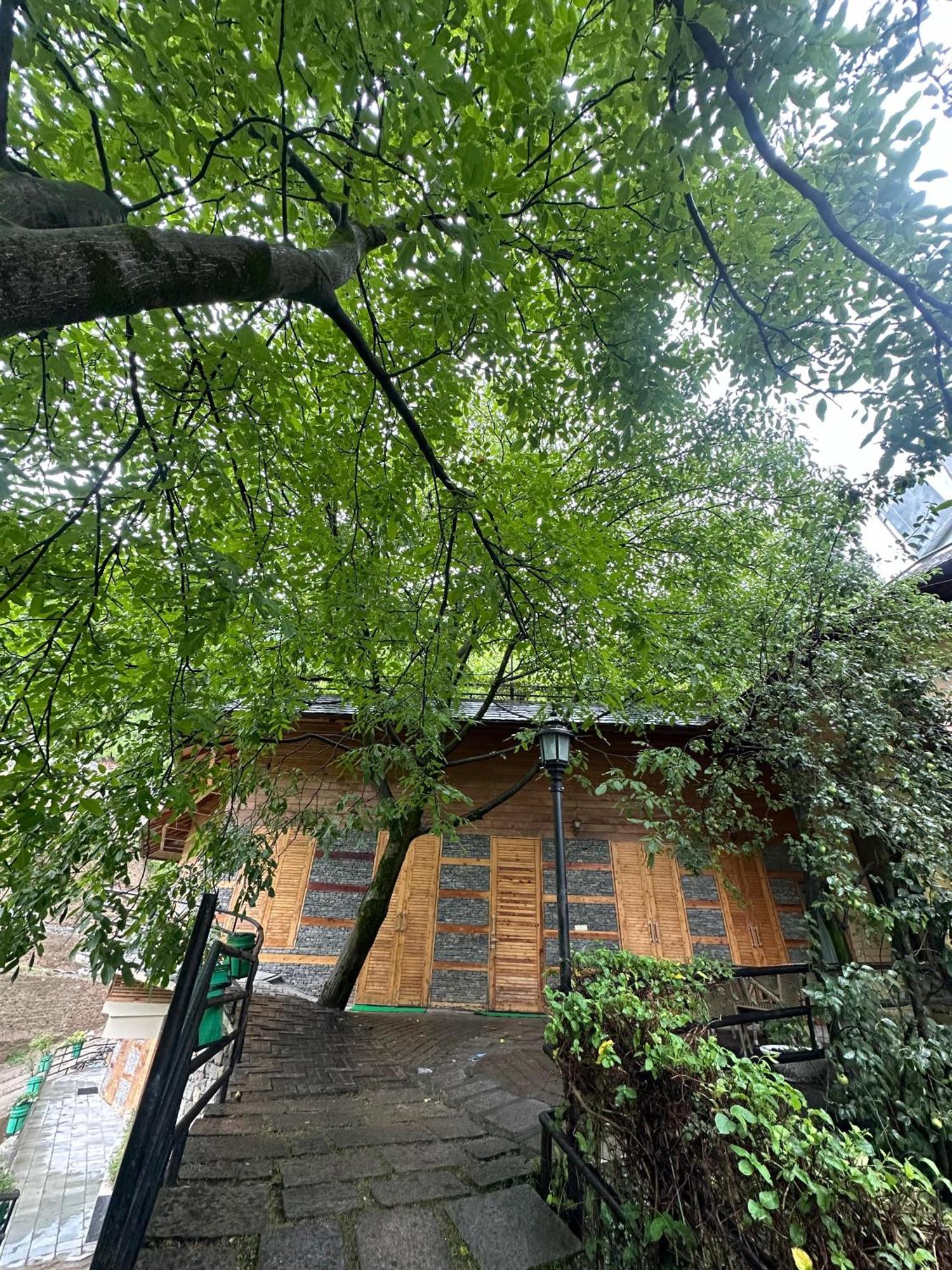 Manuallaya The Resort & Spa Manāli Екстериор снимка